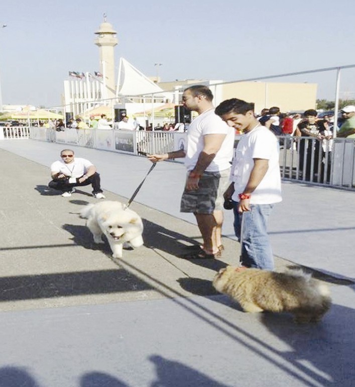 مَنْ يربح سباق جَمال الكلاب ؟