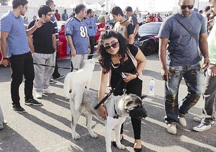 ... u0648u0645u062au0633u0627u0628u0642u0629 u0623u062eu0631u0649