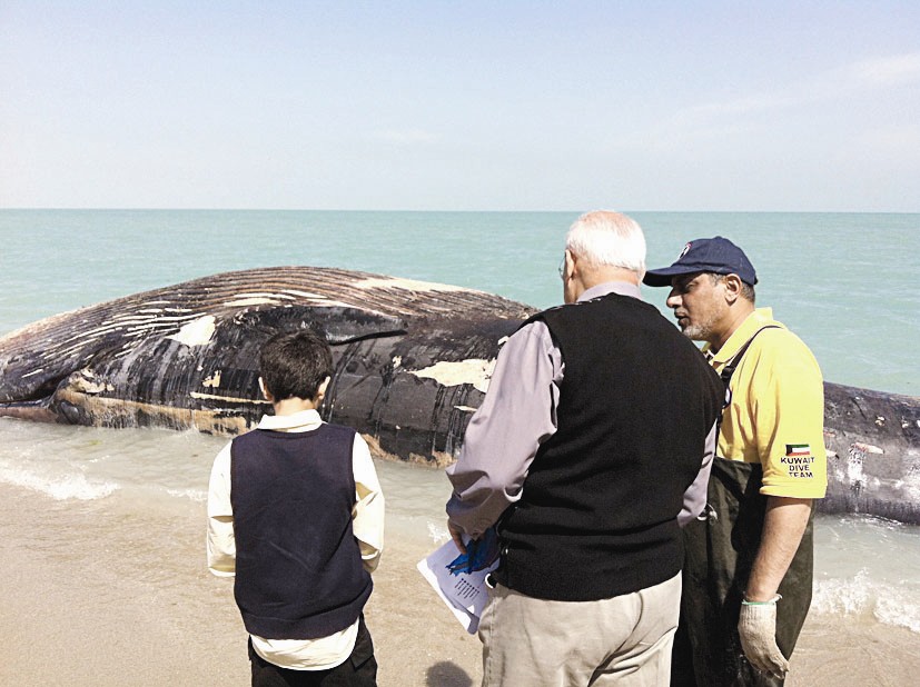 u062du0648u062a u0641u064au0644u0643u0627 u0627u0644u0646u0627u0641u0642