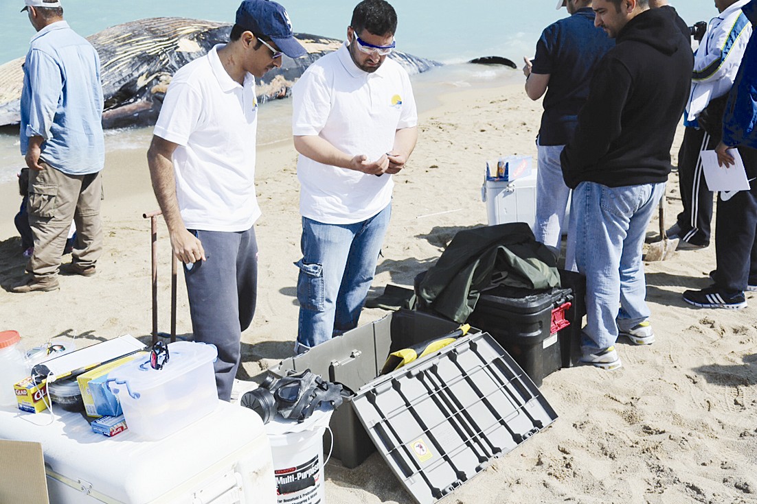 تجهيز الموقع بالمعدات اللازمة لاخذ العينات والقياسات المطلوبة