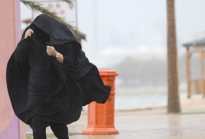 u0645u0648u0627u062cu0647u0629 u0645u0639 u0627u0644u0645u0637u0631 (u062au0635u0648u064au0631 u0623u0633u0639u062f u0639u0628u062fu0627u0644u0644u0647)