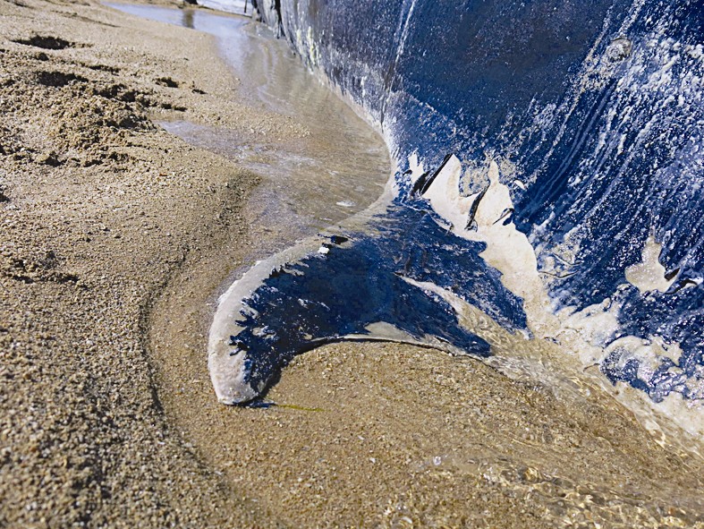 الزعنفة الظهرية