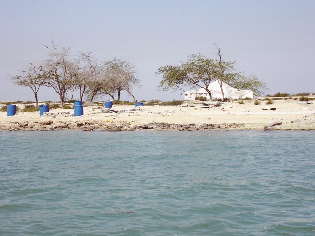 شجيرات تصارع للبقاء