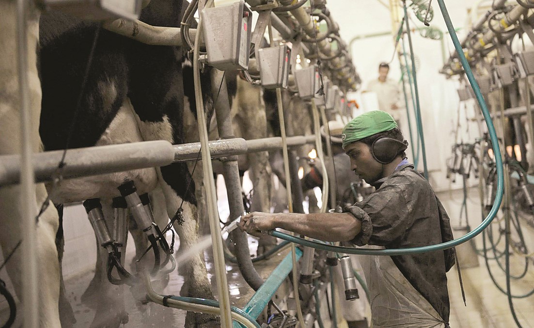 حلب وفق أحدث الطرق الحديثة