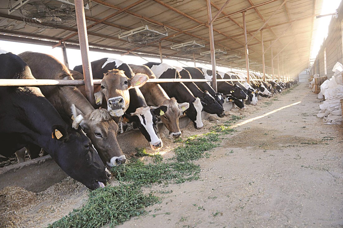 وجبة هنية ...!