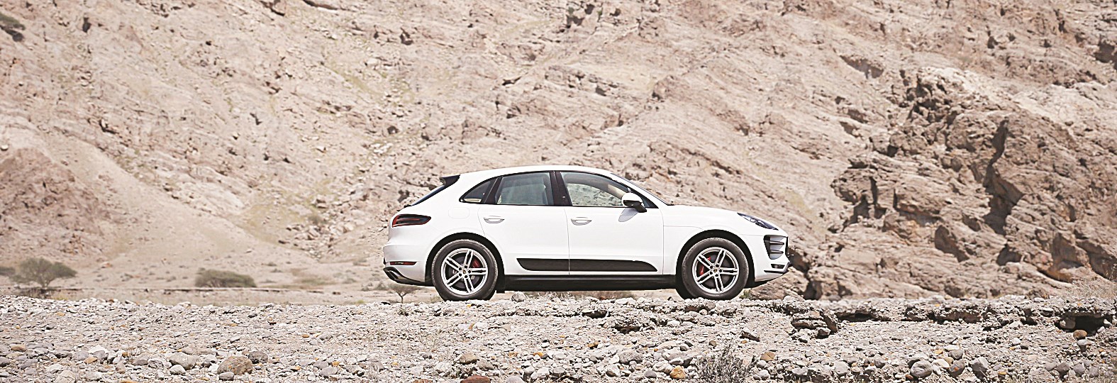 صلابتها أقوى من الصخر وانسيابها مثل الريح