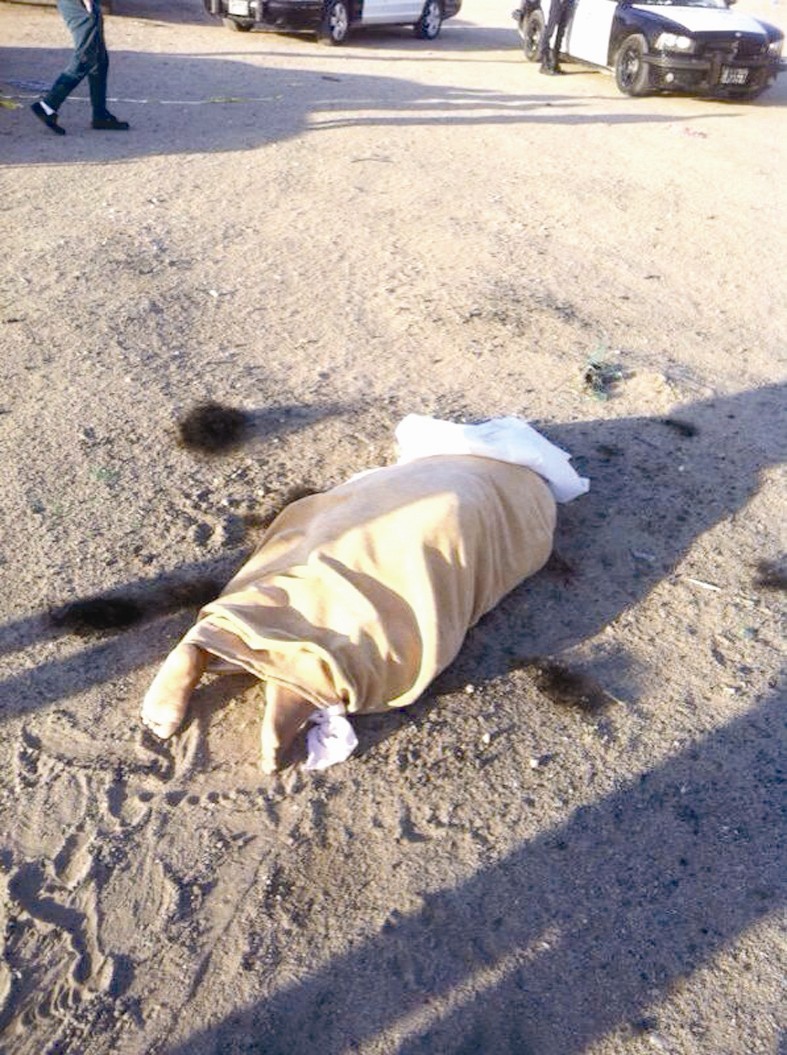 u062cu062bu0629 u0627u0644u062eu0627u062fu0645u0629