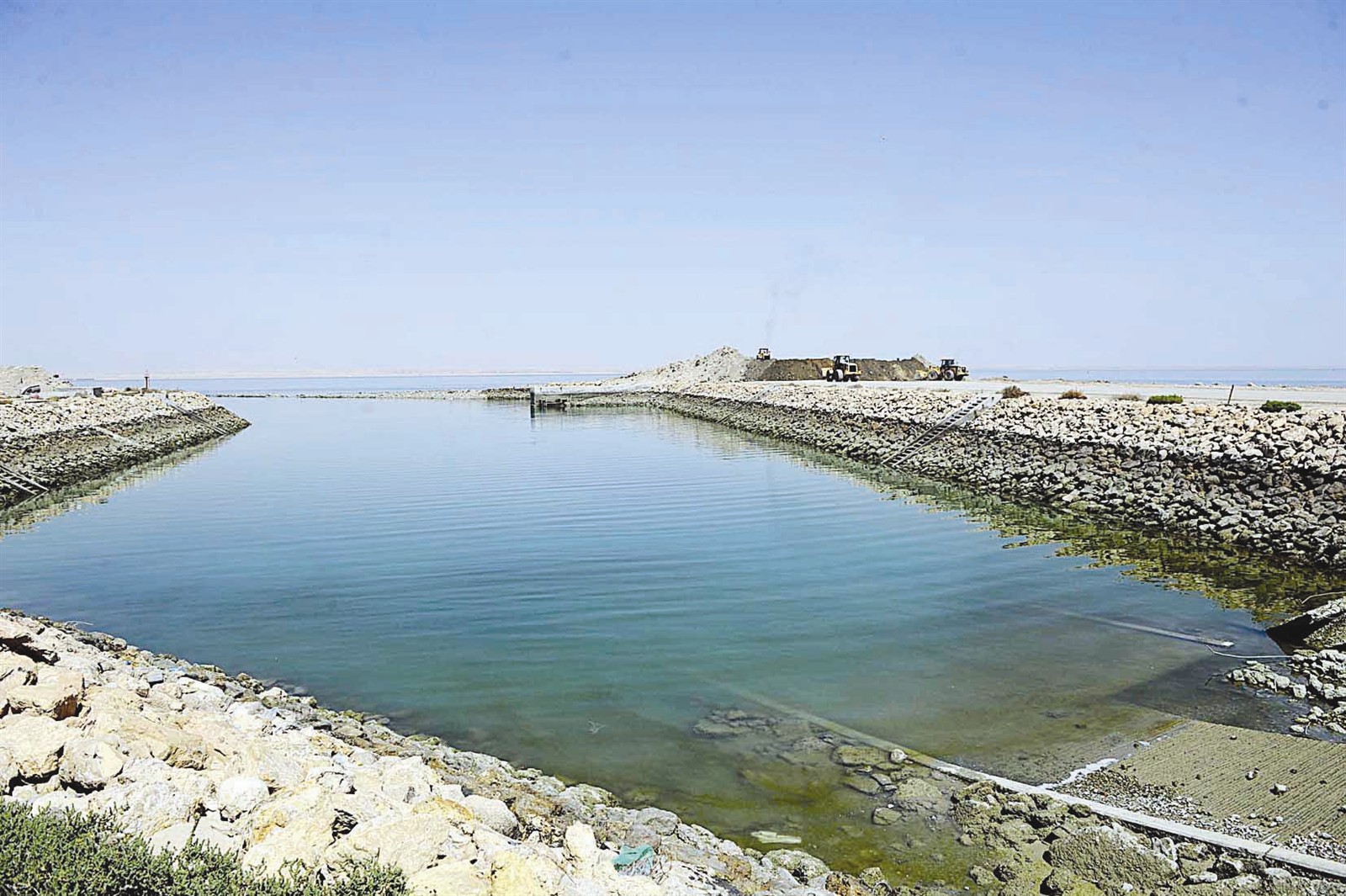 u0634u0627u0637u0626 u0639u0634u064au0631u062c u0639u0644u0649 u0645u0648u0639u062f u0645u0639 u0627u0644u062du064au0627u0629 u0627u0644u062cu062fu064au062fu0629 (u062au0635u0648u064au0631 u0646u0627u064au0641 u0627u0644u0639u0642u0644u0629)