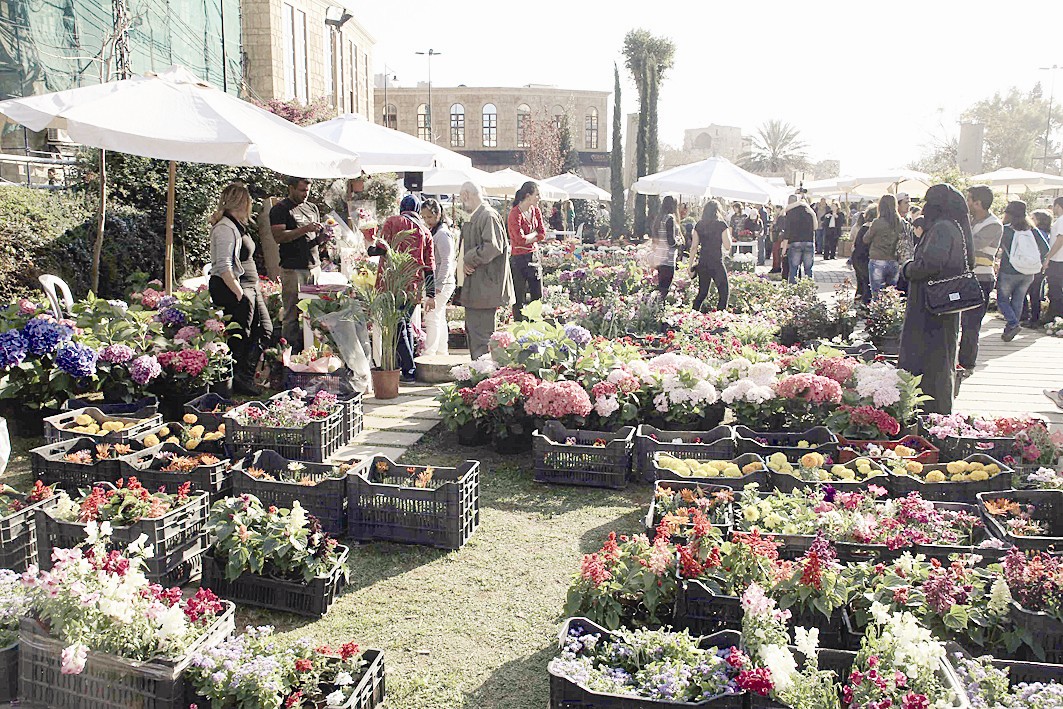 بساط من الأزهار... وقوس قزح من الألوان