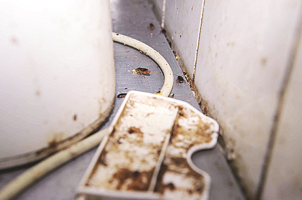 u0635u0631u0627u0635u064au0631 u0641u064a u0623u062fu0648u0627u062a u0627u0644u0637u0628u062e