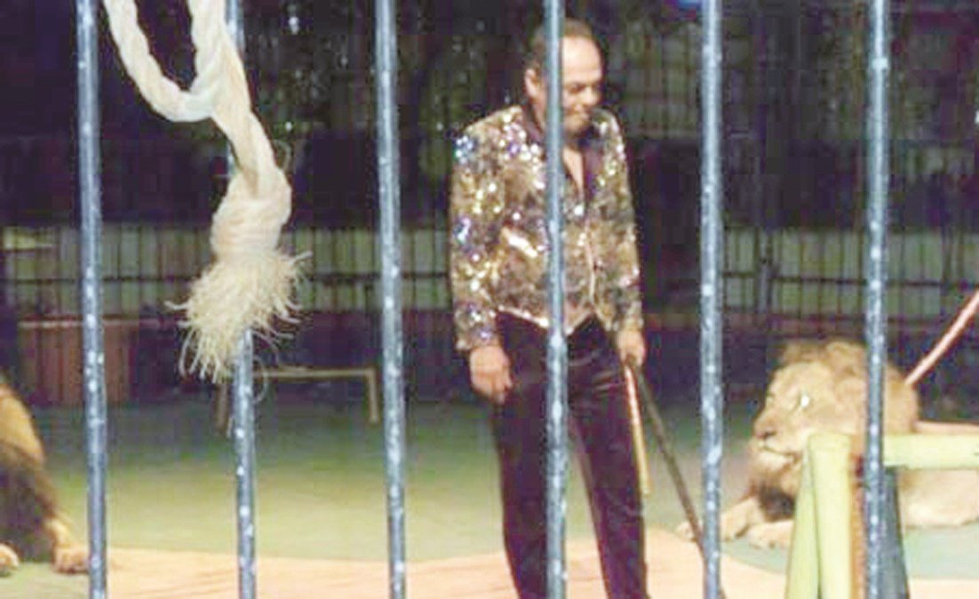 u0645u062fu062du062a u0643u0648u062au0629