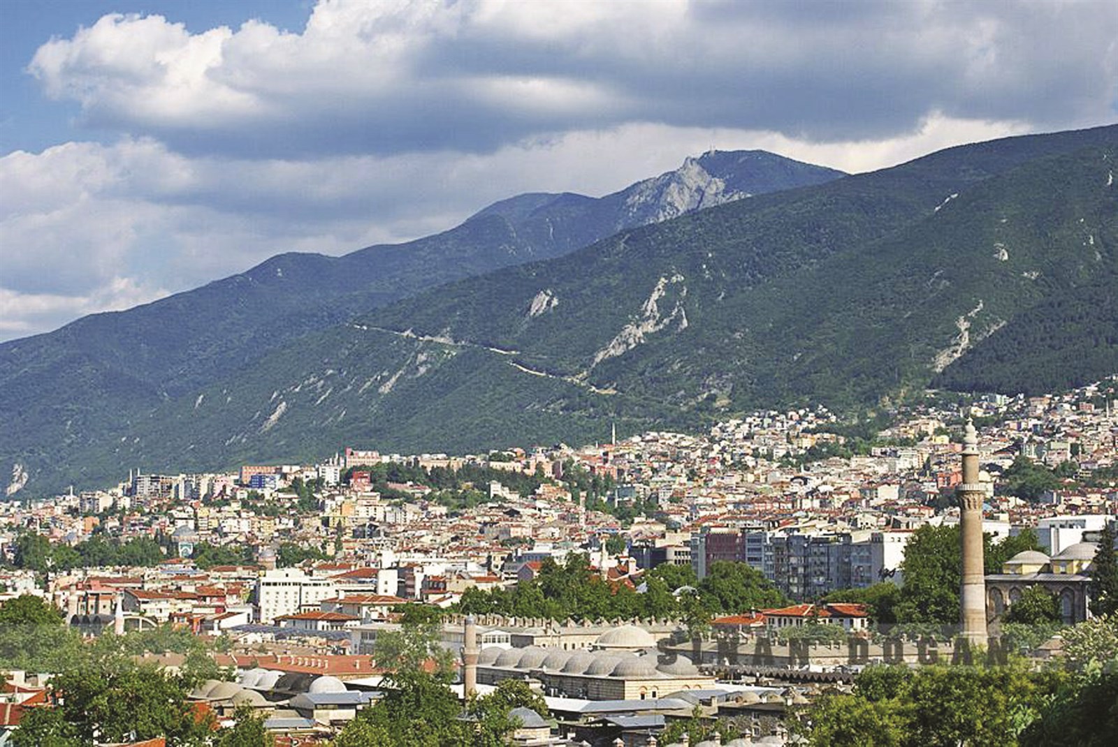 مدينة عائمة في الخضرة يحرسها الجبل الكبير