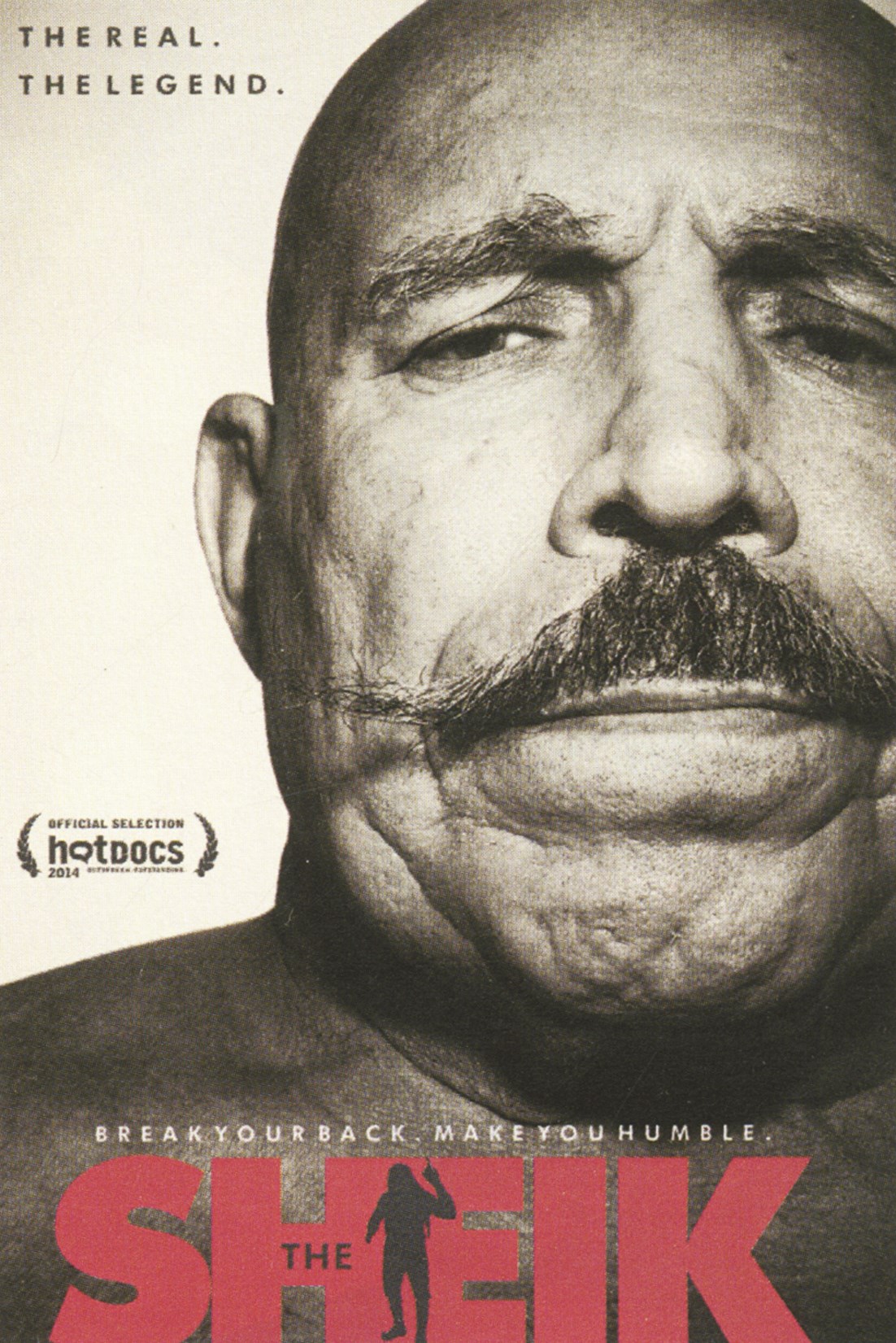 ... خطف أضواء الشهرة