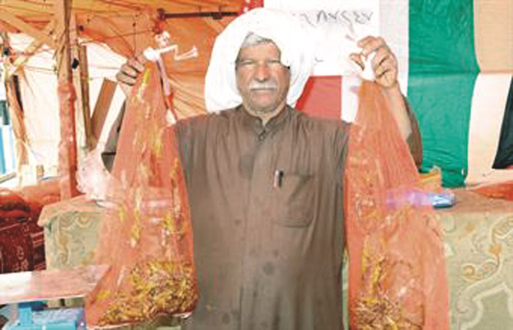 كبار السن يتعاملون مع الجراد كمادة غذائية قيمة