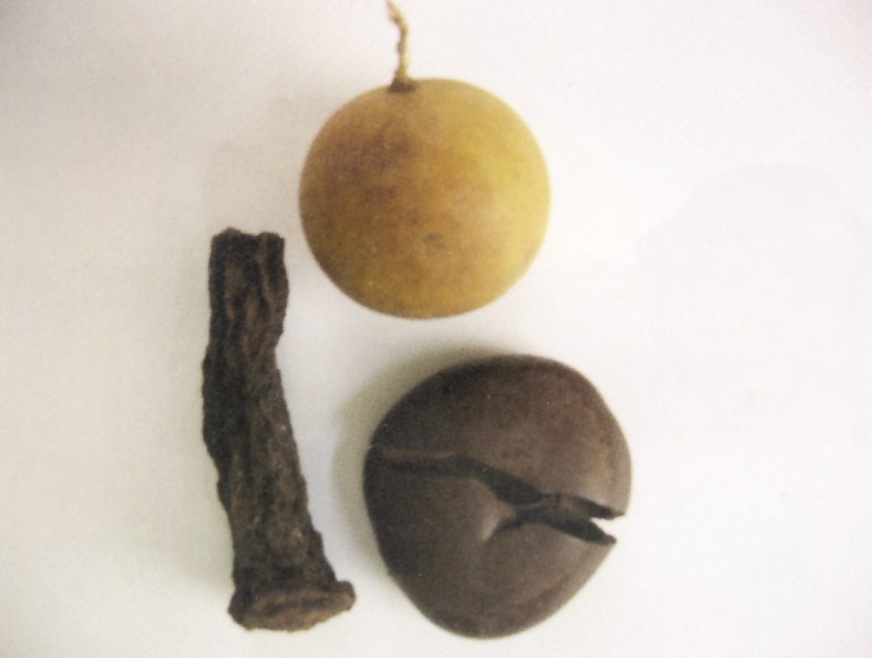 نباتات طبية كان يستخدمها