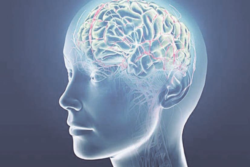 u064au0631u0649 u0623u0646u0635u0627u0631 u0647u0630u0627 u0627u0644u0645u0630u0647u0628 u0623u0646 u0627u0644u0639u0642u0644 u0623u0635u0644 u0627u0644u0645u0639u0631u0641u0629 u0648u0644u0627 u062fu0648u0631 u0644u0644u062du0648u0627u0633 u0627u0644u0623u062eu0631u0649