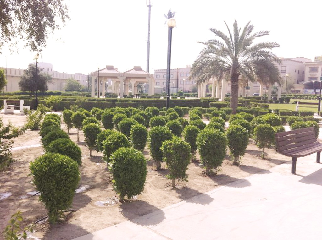 u0623u062du062f u0645u0634u0627u0631u064au0639 u0627u0644u0632u0631u0627u0639u0629 u0627u0644u062au062cu0645u064au0644u064au0629