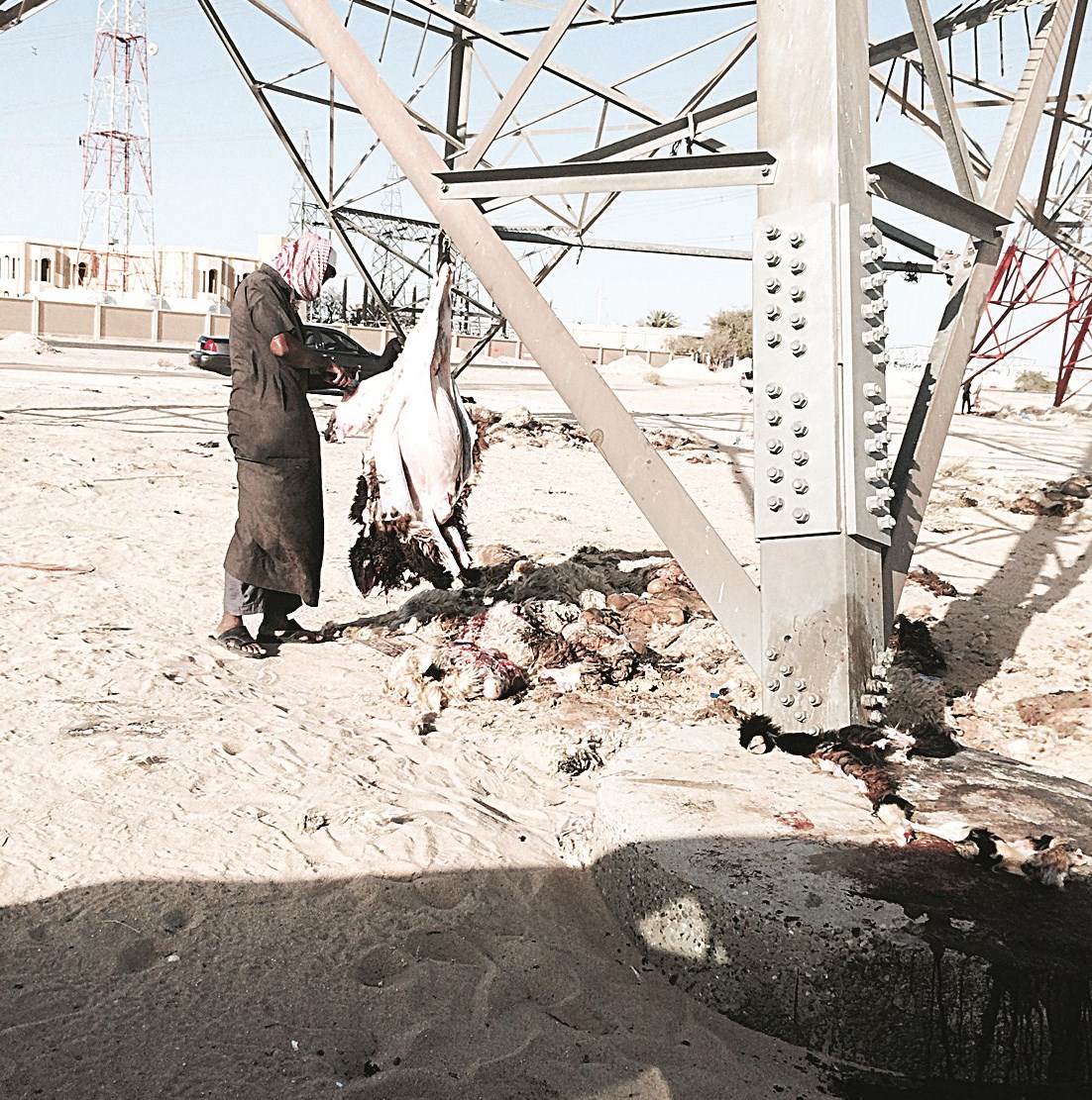 u0627u0644u0628u0646u063au0627u0644u064a u0645u0639u0644u0642u0627u064b u0627u0644u0630u0628u064au062du0629 u062au062du062a u00abu0627u0644u0636u063au0637 u0627u0644u0639u0627u0644u064au00bb