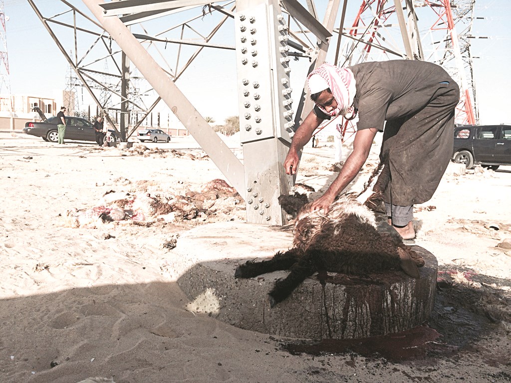 u062cu0632u0627u0631 u064au0642u0648u0645 u0628u0627u0644u0633u0644u062e u062au062du062a u0623u062du062f u0623u0639u0645u062fu0629 u0627u0644u0636u063au0637