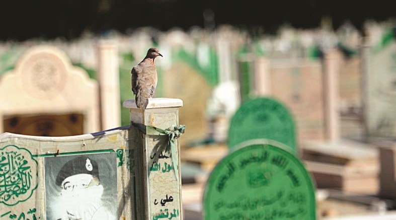 عصفور يراقب الزوار