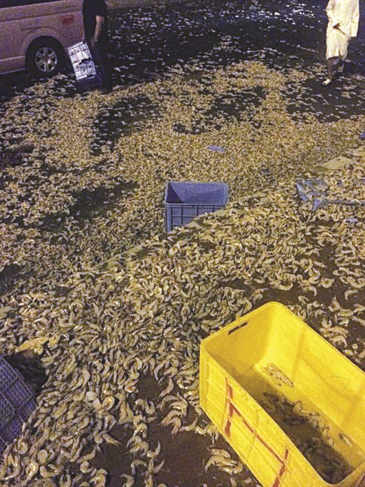 u0627u0644u0631u0648u0628u064au0627u0646 u064au062du062au0644 u0645u0643u0627u0646 u0627u0644u0633u064au0627u0631u0627u062a