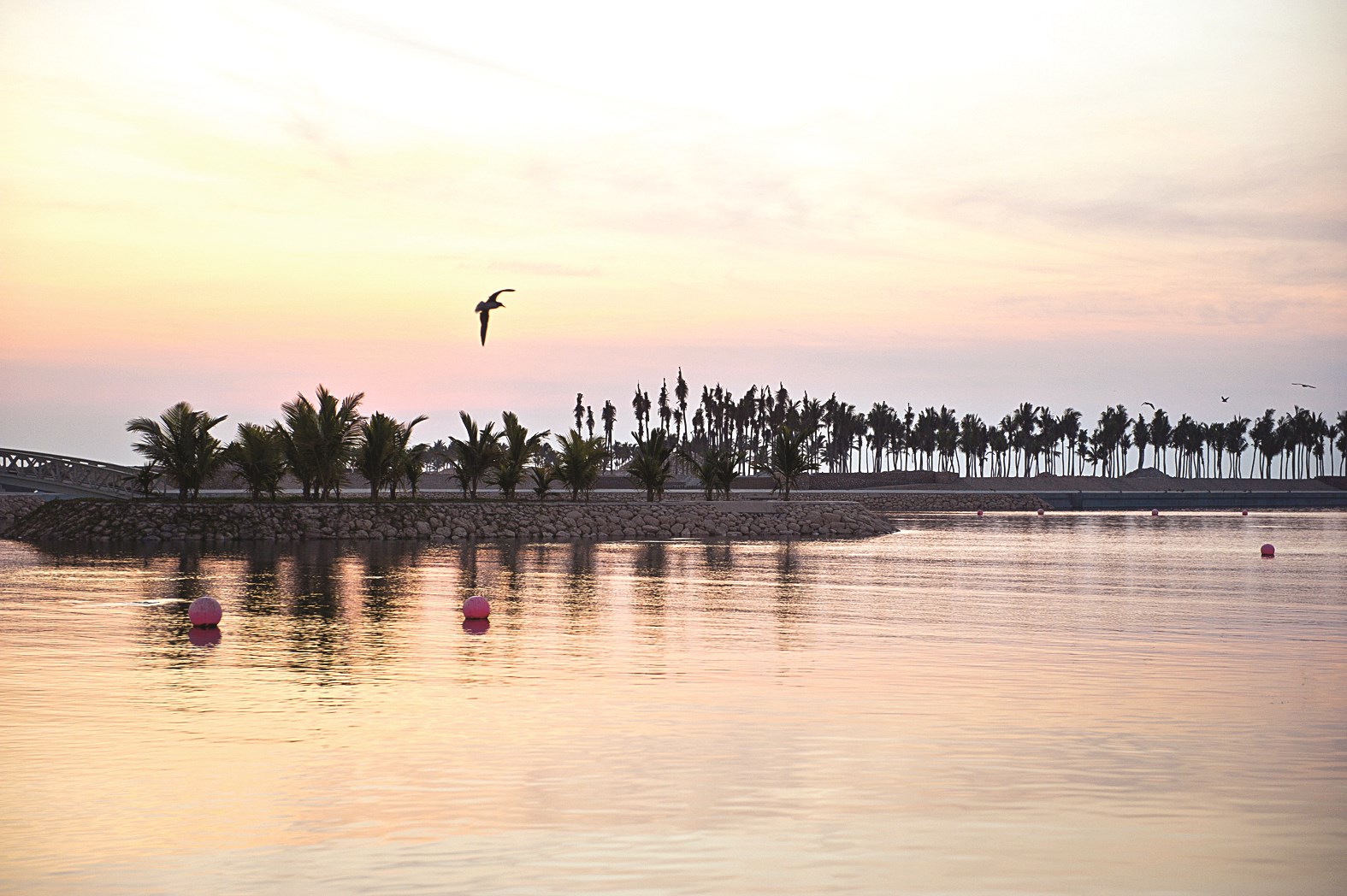 بحيرة منتجع جويرة