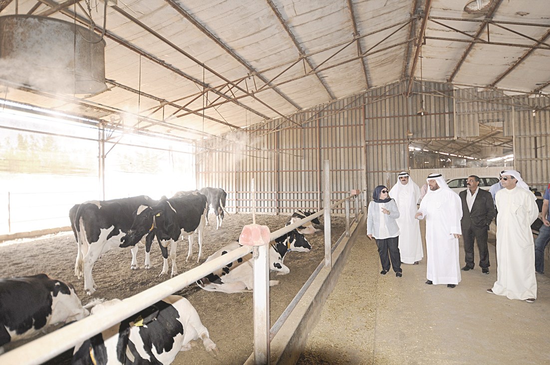 u0627u0644u062eu0644u064au0644 u062eu0644u0627u0644 u0627u0644u062cu0648u0644u0629