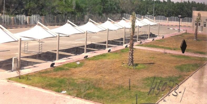 مواقف سيارات مدرسة عبادة بن الصامت