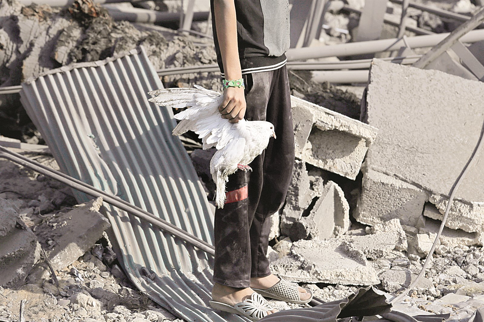 u0637u0641u0644 u0641u0644u0633u0637u064au0646u064a u064au062du0645u0644 u062du0645u0627u0645u0629 u062cu0631u064au062du0629 u0639u062bu0631 u0639u0644u064au0647u0627 u0628u064au0646 u0623u0646u0642u0627u0636 u0645u0646u0632u0644u0647... u062du062au0649 u00abu062du0645u0627u0645u0629 u0627u0644u0633u0644u0627u0645u00bb u0644u0645 u062au0646u062c u0645u0646 u0627u0644u0642u0635u0641 u0627u0644u0625u0633u0631u0627u0626u064au0644u064a (u0627 u0628)