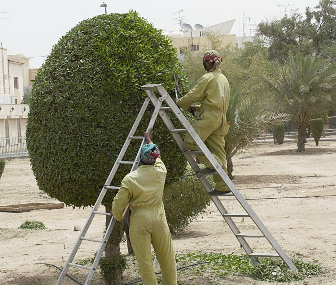 u064au062cu0628 u0627u0644u0623u062eu0630 u0628u0627u0644u0627u0639u062au0628u0627u0631 u0645u0648u0633u0645 u062au0641u0631u064au062e u0627u0644u0637u064au0648u0631