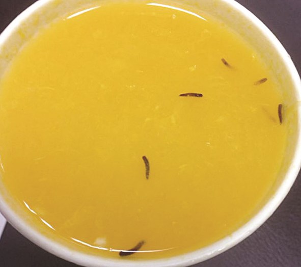 u0627u0644u062fu064au062fu0627u0646 u00abu062au0633u062au0645u062au0639u00bb u0628u0627u0644u0633u0628u0627u062du0629 u0641u064a u0639u0635u064au0631 u0627u0644u0628u0631u062au0642u0627u0644!