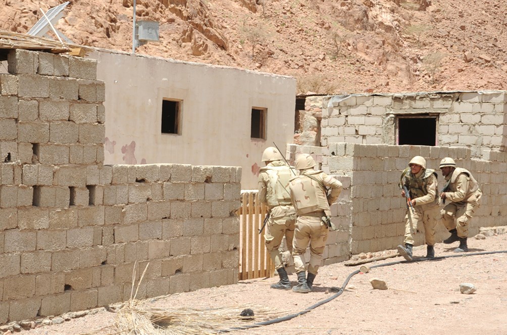 u0642u0648u0629 u0645u0646 u0627u0644u062cu064au0634 u062eu0644u0627u0644 u0645u062fu0627u0647u0645u0629 u0623u0648u0643u0627u0631 u0627u0644u0645u0633u0644u062du064au0646 u0641u064a u0634u0645u0627u0644 u0633u064au0646u0627u0621 (u062eu0627u0635 - u00abu0627u0644u0631u0627u064au00bb)