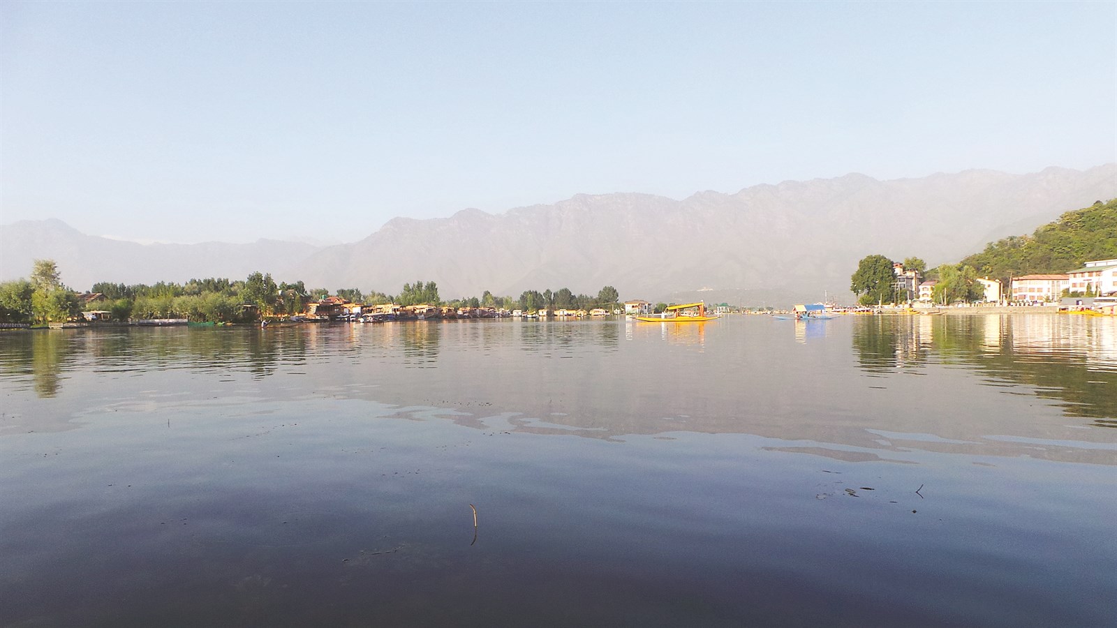 u0643u0634u0645u064au0631 u0627u0644u062du0627u0644u0645u0629 u0641u064a u0623u062du0636u0627u0646 u0627u0644u0637u0628u064au0639u0629