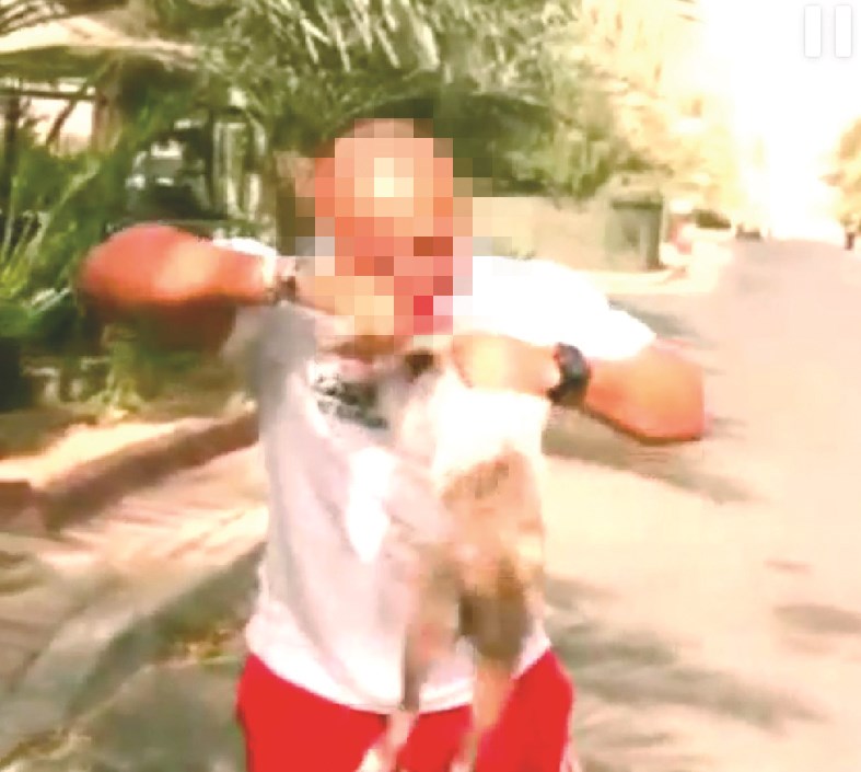 مفترس الحيوانات