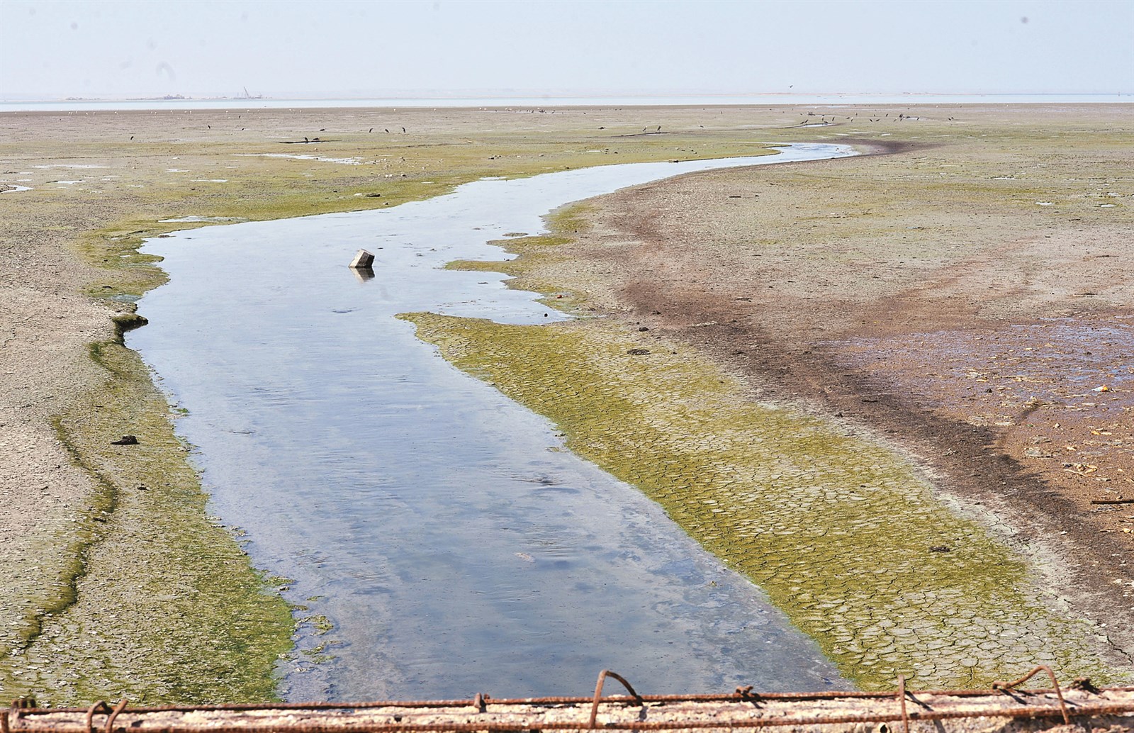 u0627u0644u0645u062cu0631u0648u0631 u0645u062au0647u0645 u0641u064a u062du062fu0648u062b u0627u0644u0638u0627u0647u0631u0629 (u062au0635u0648u064au0631 u0645u0648u0633u0649 u0639u064au0627u0634)