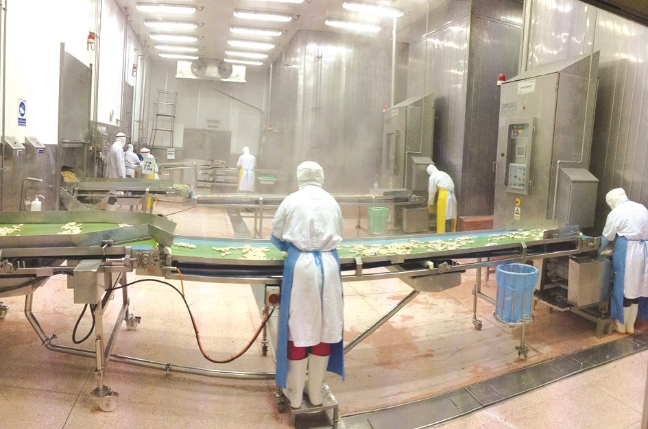 شركة سي بي اف ومصانع المنتوجات الغذائية