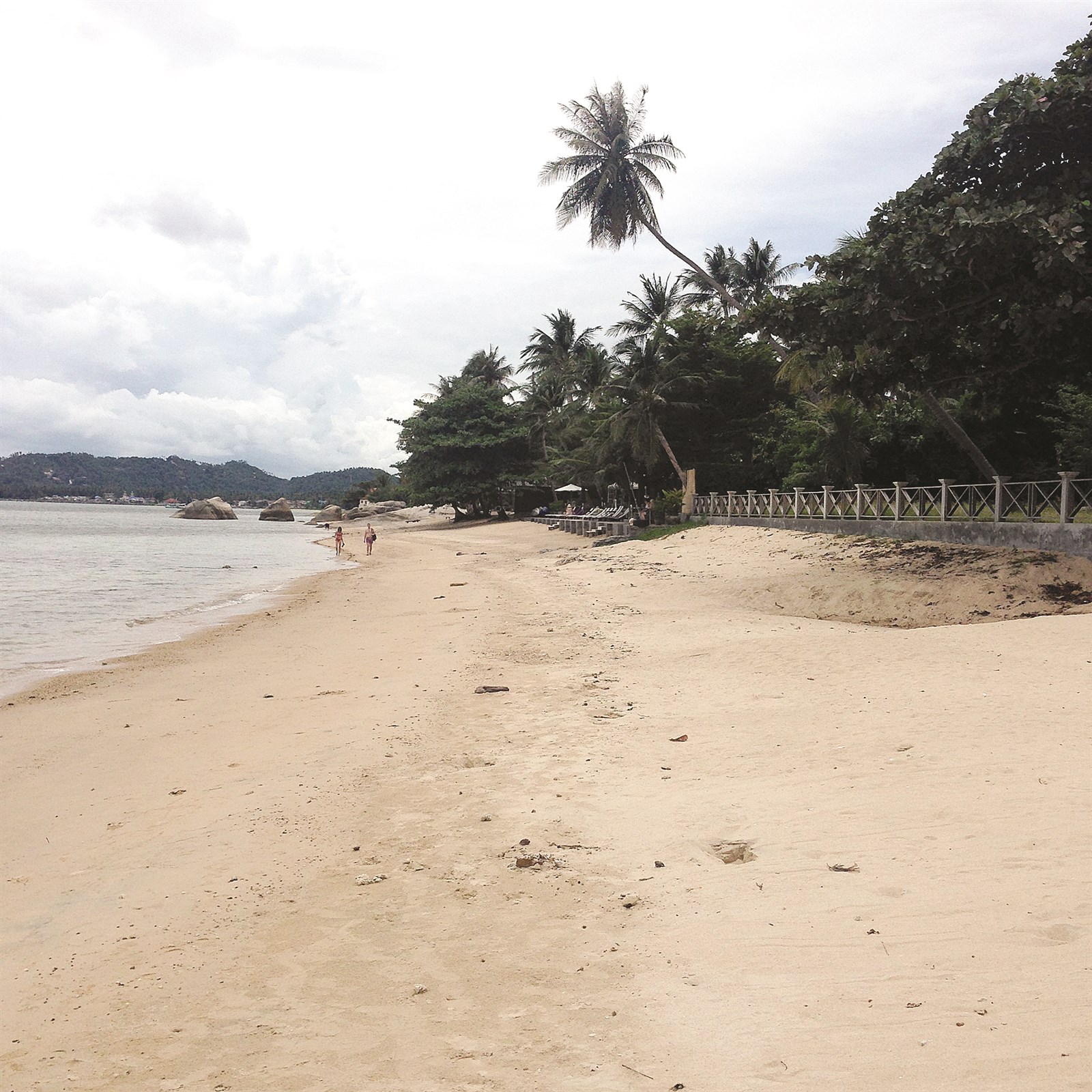 جمال جزيرة سامواي التايلندية