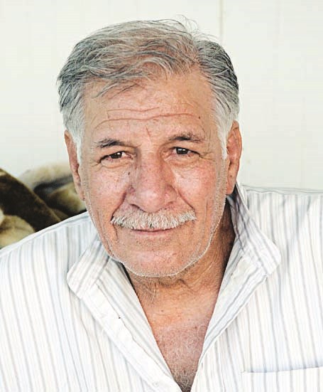 حامد الشريف