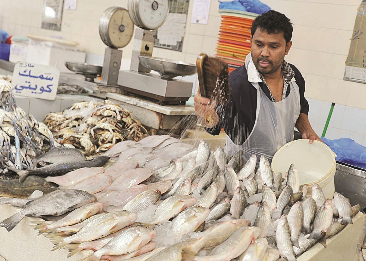 سمك معروض ولا مشترين