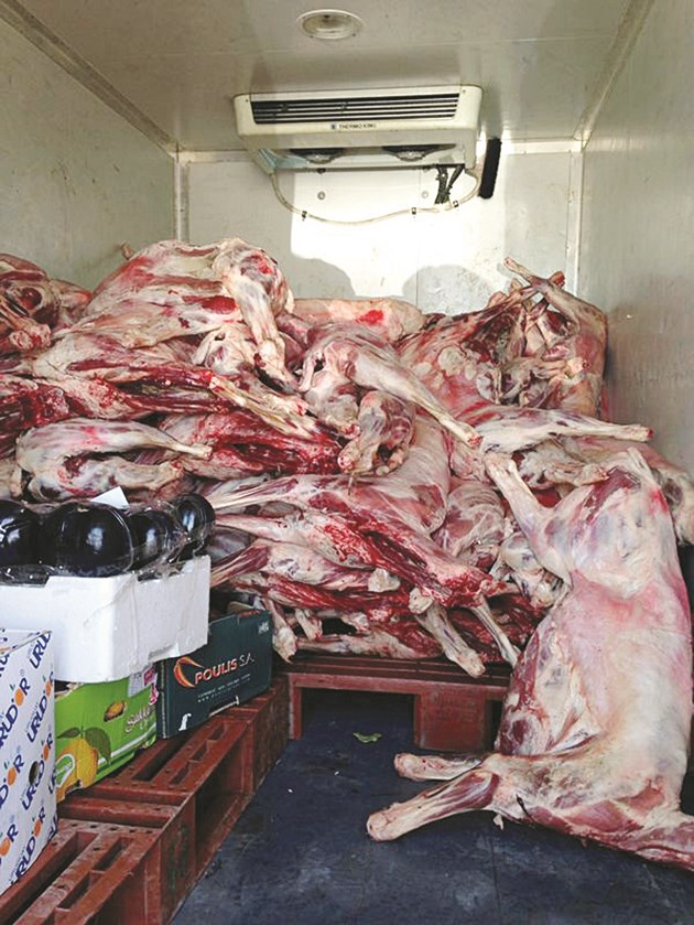 u0627u0644u0644u062du0648u0645 u0627u0644u0641u0627u0633u062fu0629 u0628u0623u062eu062au0627u0645 u0645u0632u0648u0631u0629