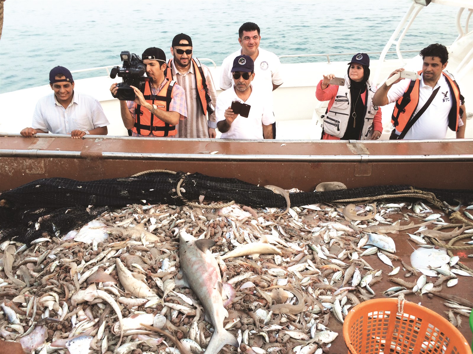 u0635u064au062f u0648u0641u064au0631 u0639u0644u0649 u0623u062du062f u0627u0644u0644u0646u062cu0627u062a... u0648u0627u0644u062eu0644u064au0644 u062au0648u062bu0642