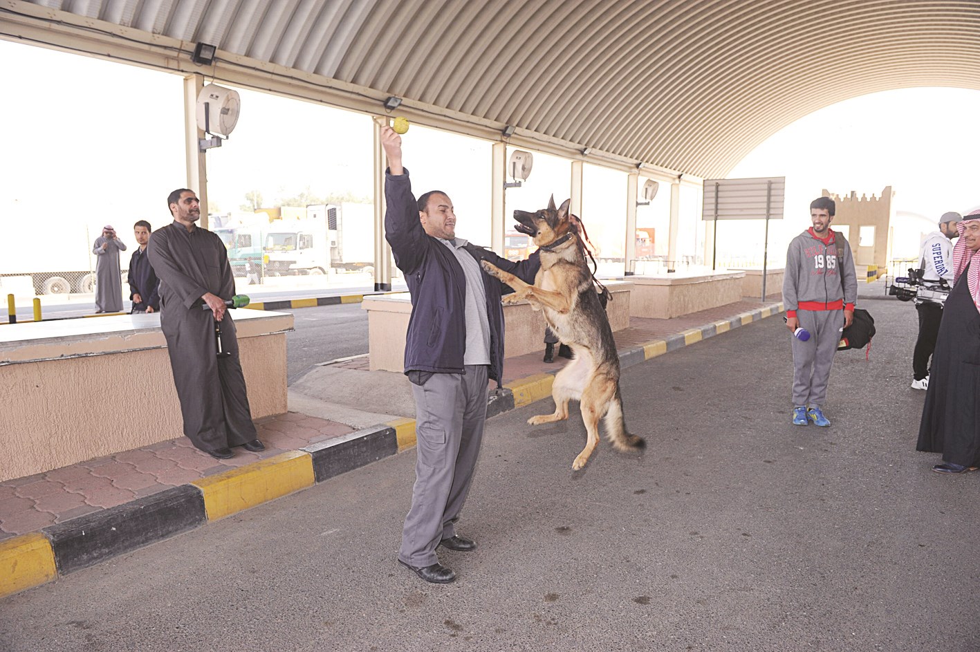 قدرات عالية لكلاب الأثر