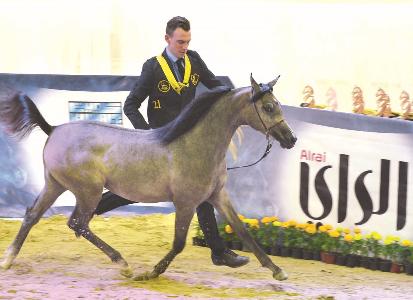 u0627u0633u062au0639u0631u0627u0636 u0627u0644u062cu0645u0627u0644