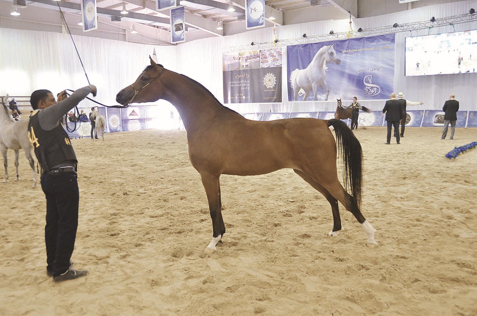 كامل المواصفات (تصوير جلال معوض)