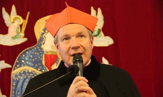 u0631u0626u064au0633 u0627u0644u0627u0633u0627u0642u0641u0629 u0627u0644u0643u0627u062bu0648u0644u064au0643 u0641u064a u0627u0644u0646u0645u0633u0627 u0627u0644u0643u0627u0631u062fu064au0646u0627u0644 u0643u0631u064au0633u062au0648u0641 u0634u0648u0646u0628u0648u0631u0646