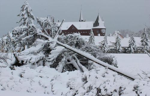 u0639u0627u0635u0641u0629 u0639u0644u0649 u0627u0644u0633u0627u062du0644 u0627u0644u0634u0645u0627u0644u064a u0627u0644u0634u0631u0642u064a u0627u0644u0627u0645u064au0631u0643u064a