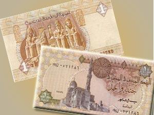 u0627u0644u062cu0646u064au0647 u0627u0644u0645u0635u0631u064a