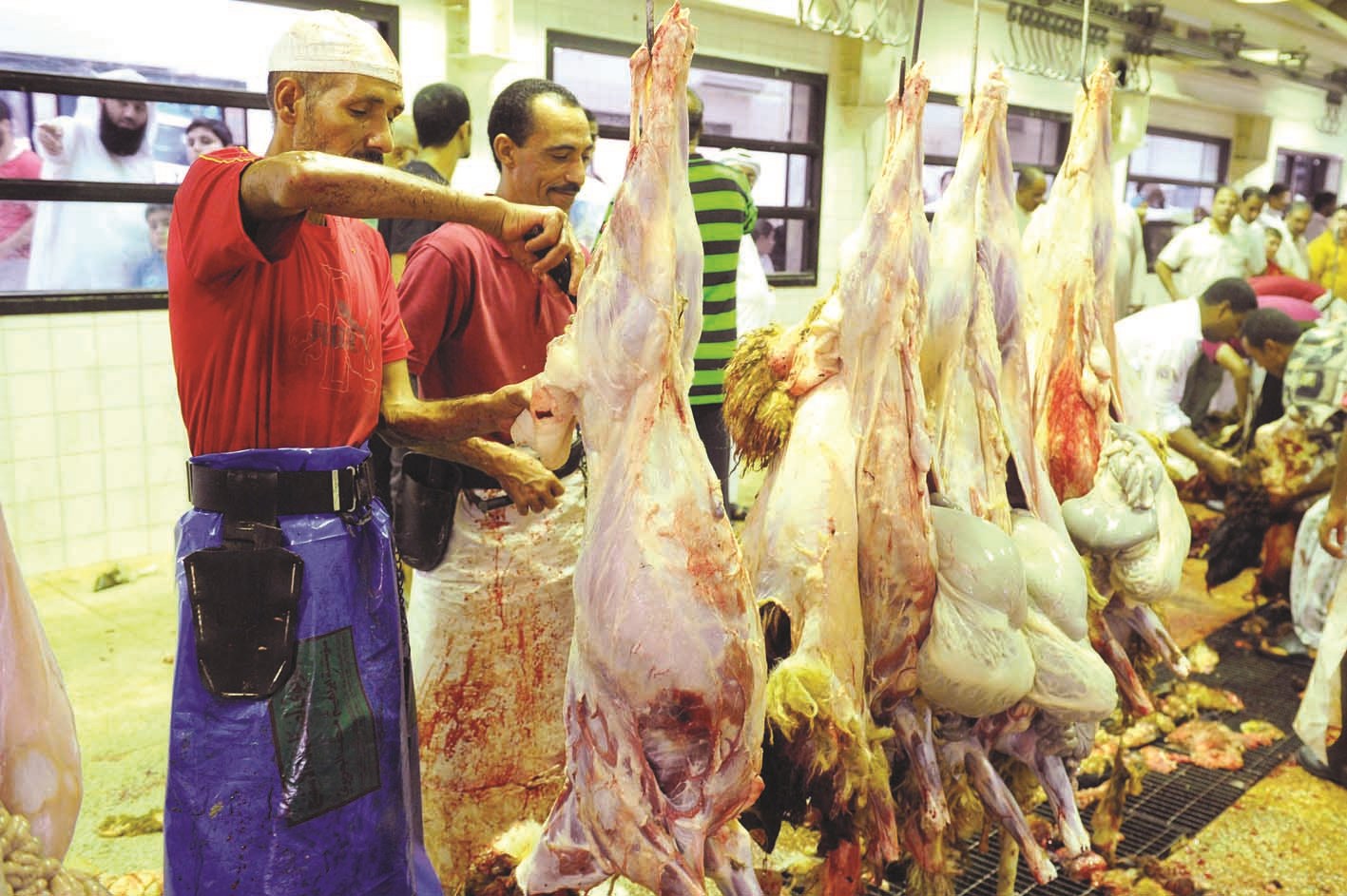 مسلخ الشويخ ... أغلق إلى غير رجعة (تصوير زكريا عطية)