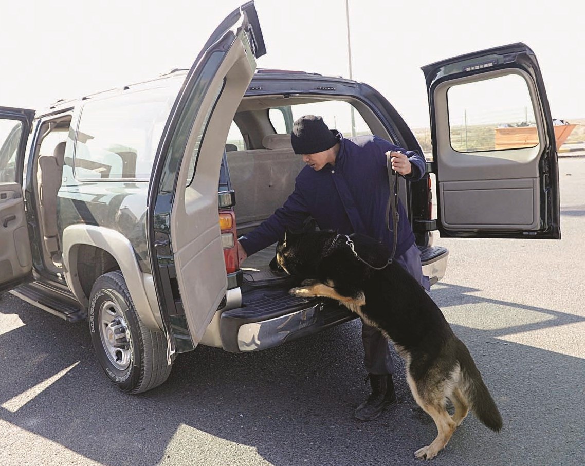 الاستعانة بكلاب الأثر وقت الضرورة