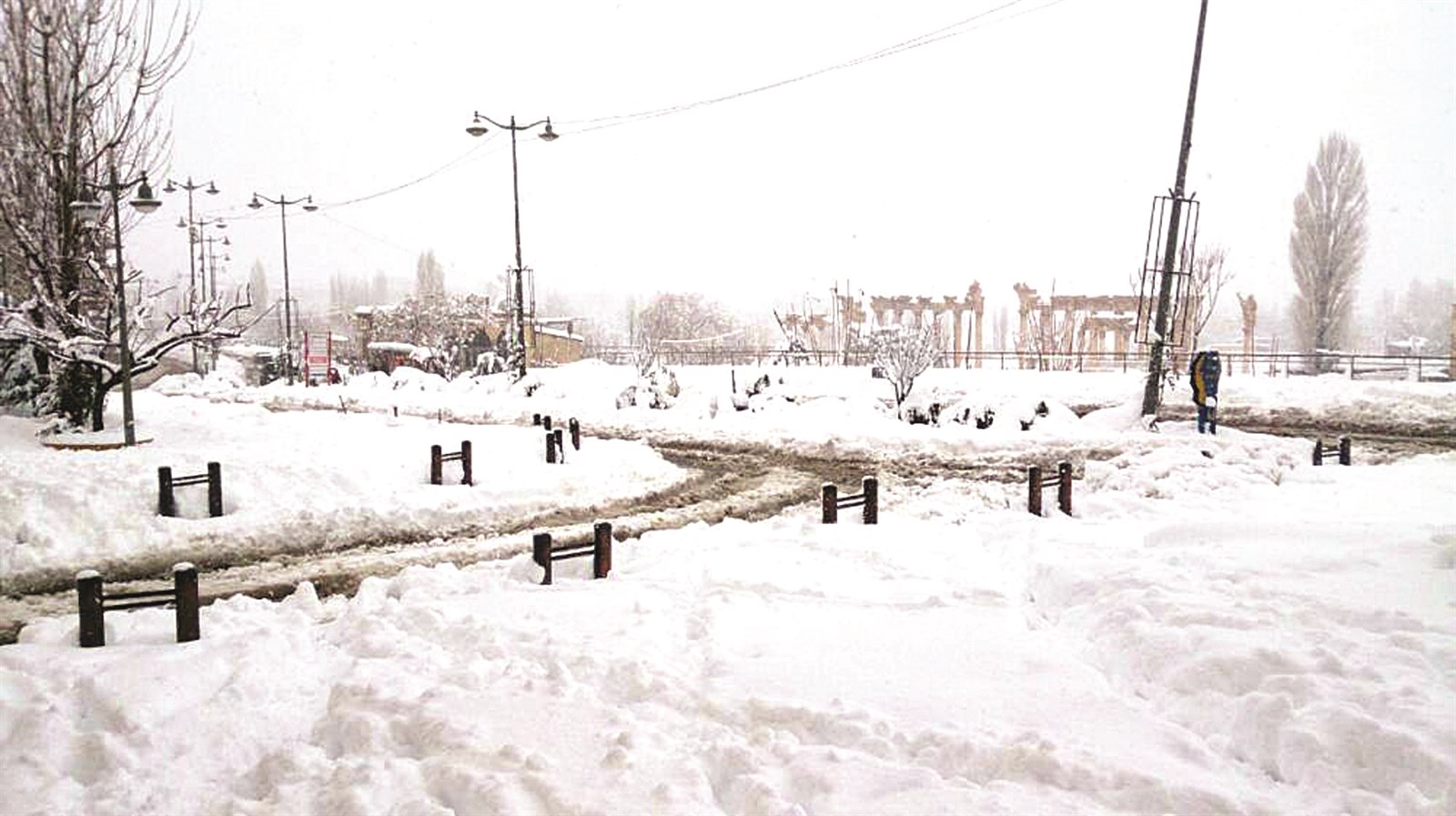 «زينة» طالت كل شيء